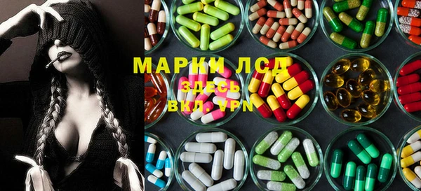 apvp Алзамай